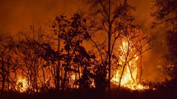 a wildfire in california